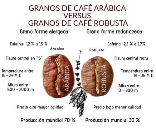 arábica vs robusta tipos de café