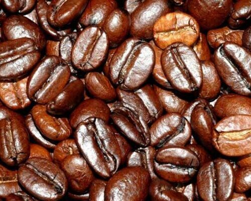 café Toraja Kalossi, tipos de café